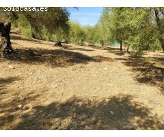 Casa de campo-Masía en Venta en Cortes De La Frontera Málaga 