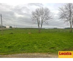 Dos casas con extensa finca en Polanco, Cantabria