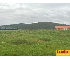 Dos casas con extensa finca en Polanco, Cantabria