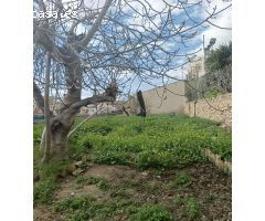 Gran casa en Aspe con inmenso jardín.