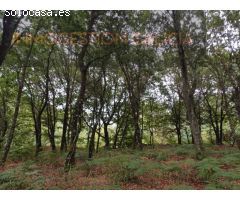 Parcela en Venta en Goian Lugo