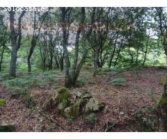 Parcela en Venta en Goian Lugo
