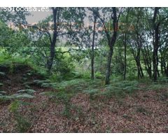 Parcela en Venta en Goian Lugo