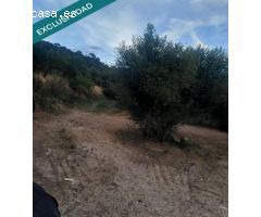 Terreno rustico cerca del pueblo