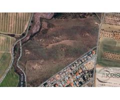 TERRENO RUSTICO EN URB. TOCECANTOS DE CEDILLO **PASAR OFERTA**