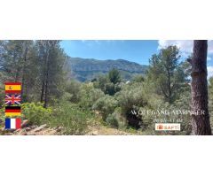 SE VENDE SOLAR URBANO EN GALERETES / BOSQUE MONTGÓ CON VISTAS PANORÁMICAS