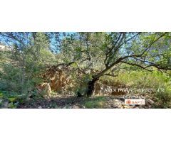 SE VENDE SOLAR URBANO EN GALERETES / BOSQUE MONTGÓ CON VISTAS PANORÁMICAS