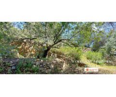 SE VENDE SOLAR URBANO EN GALERETES / BOSQUE MONTGÓ CON VISTAS PANORÁMICAS
