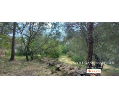 SE VENDE SOLAR URBANO EN GALERETES / BOSQUE MONTGÓ CON VISTAS PANORÁMICAS