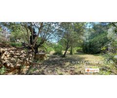 SE VENDE SOLAR URBANO EN GALERETES / BOSQUE MONTGÓ CON VISTAS PANORÁMICAS