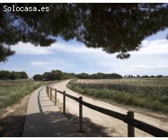 Casa-Chalet en Venta en Torrevieja Alicante