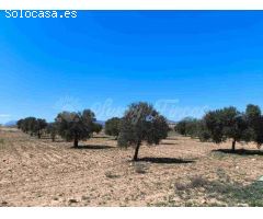 Suelo rústico en Venta en Yecla Murcia 