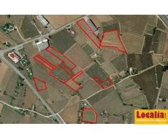 Extenso suelo urbanizable en Nájera, La Rioja