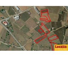 Extenso suelo urbanizable en Nájera, La Rioja
