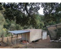 Casa de campo-Masía en Venta en Genalguacil Málaga 