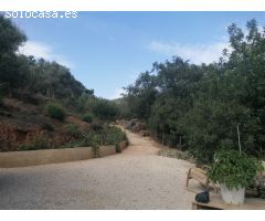 Casa de campo-Masía en Venta en Genalguacil Málaga 