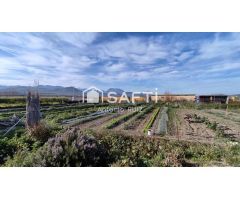 Granja con terreno de unos 20.000 m² y posibilidad de concesión de 200 ha de pastos. Zona Donadio. S