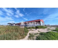 Granja con terreno de unos 20.000 m² y posibilidad de concesión de 200 ha de pastos. Zona Donadio. S