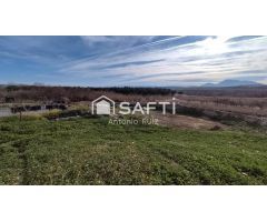 Granja con terreno de unos 20.000 m² y posibilidad de concesión de 200 ha de pastos. Zona Donadio. S