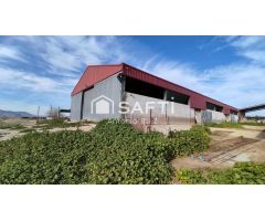Granja con terreno de unos 20.000 m² y posibilidad de concesión de 200 ha de pastos. Zona Donadio. S