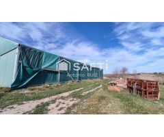 Granja con terreno de unos 20.000 m² y posibilidad de concesión de 200 ha de pastos. Zona Donadio. S