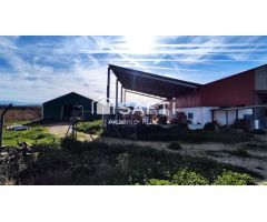 Granja con terreno de unos 20.000 m² y posibilidad de concesión de 200 ha de pastos. Zona Donadio. S