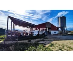Granja con terreno de unos 20.000 m² y posibilidad de concesión de 200 ha de pastos. Zona Donadio. S