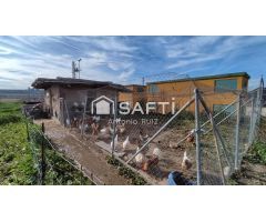 Granja con terreno de unos 20.000 m² y posibilidad de concesión de 200 ha de pastos. Zona Donadio. S