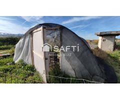 Granja con terreno de unos 20.000 m² y posibilidad de concesión de 200 ha de pastos. Zona Donadio. S