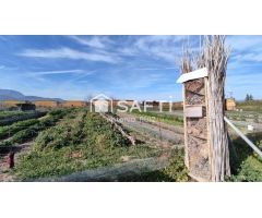 Granja con terreno de unos 20.000 m² y posibilidad de concesión de 200 ha de pastos. Zona Donadio. S