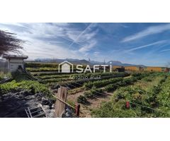 Granja con terreno de unos 20.000 m² y posibilidad de concesión de 200 ha de pastos. Zona Donadio. S