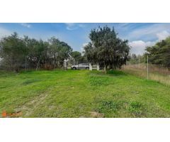 Casa de campo sobre finca rústica, más de 10.000m2.