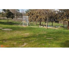 Casa de campo sobre finca rústica, más de 10.000m2.