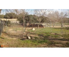 Casa de campo sobre finca rústica, más de 10.000m2.
