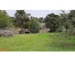 Casa de campo sobre finca rústica, más de 10.000m2.