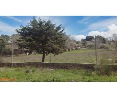 Casa de campo sobre finca rústica, más de 10.000m2.