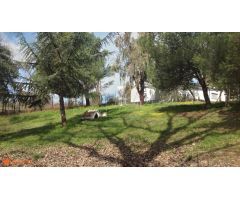 Casa de campo sobre finca rústica, más de 10.000m2.