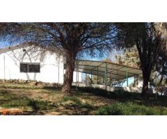 Casa de campo sobre finca rústica, más de 10.000m2.