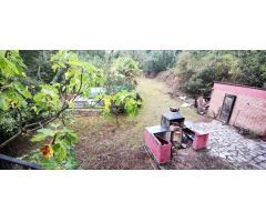 CASA CON PISCINA EN PLENA NATURALEZA EN ZONA CANET DE FALS