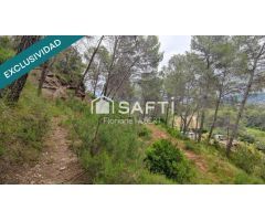 TERRENO DE 4215M2 EDIFICABLE EN CERVELLO.