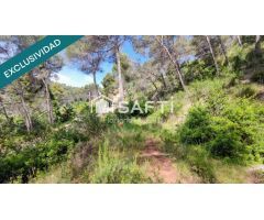 TERRENO DE 4215M2 EDIFICABLE EN CERVELLO.