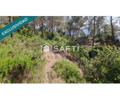 TERRENO DE 4215M2 EDIFICABLE EN CERVELLO.