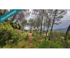TERRENO DE 4215M2 EDIFICABLE EN CERVELLO.
