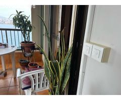 Piso en venta en Zona Sierra Helada