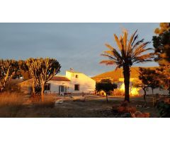 CASA CON TERRENO EN LAS PALAS