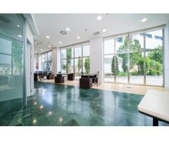 Oficina en Alquiler en Pozuelo de Alarcón, Madrid