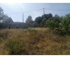 Finca rustica en Venta en Llombai, Valencia