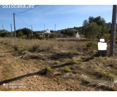 Finca rustica en Venta en Alfarp, Valencia