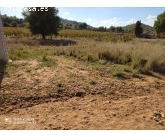 Finca rustica en Venta en Alfarp, Valencia