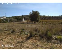 Finca rustica en Venta en Alfarp, Valencia